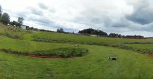 Video drone FPV : un dimanche "voitures"